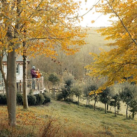 Cottage Orne Long Bredy Buitenkant foto